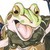 :icontoushiro1175: