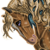 :icontoushirou92: