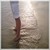 :icontout-comte-fee: