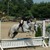 :icontoverostud: