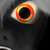 :icontowbee92: