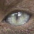 :icontowcbs-photos:
