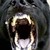 :icontoxic-devilwolf:
