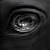 :icontoxic-horses: