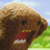 :icontoxicbite:
