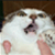 :icontoxicgirl08: