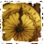 :icontoxicimage: