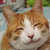 :icontoxicmilk: