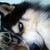 :icontoxicnight1130: