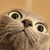 :icontoxicplumjuice:
