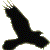 :icontoxicpurple: