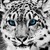 :icontoxicsunshine777: