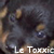 :icontoxxic-: