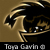 :icontoyagavin: