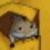 :icontoyo-snow: