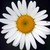 :icontoystool: