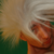 :icontraburi: