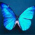 :iconTrace621: