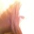 :icontracey79:
