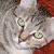 :icontraciecat: