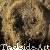 :icontrackside-art: