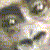 :icontracy8463: