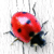:icontracyd: