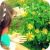 :icontragicalydreaming: