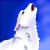 :icontragicterror: