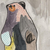 :icontrainatorium: