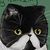 :icontrainerexplosion: