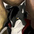 :icontrakk: