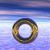 :icontran-zit: