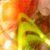 :icontrancebunny: