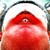 :icontrancemo6: