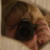 :icontrandphotography: