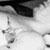 :icontrans-lucent: