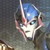 :icontransformers-arcee: