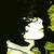 :icontransiphu: