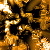 :iconTransmutation66: