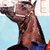 :icontransparecer: