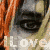 :icontraptinmydespair: