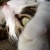 :icontrashygorgeous: