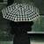 :icontrashystunner: