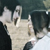 :icontraum-geist: