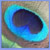 :icontraumfuchs: