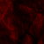 :icontraumkaninchen: