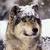 :icontravelaway: