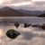 :icontravellerwolf: