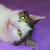 :icontravellingangel: